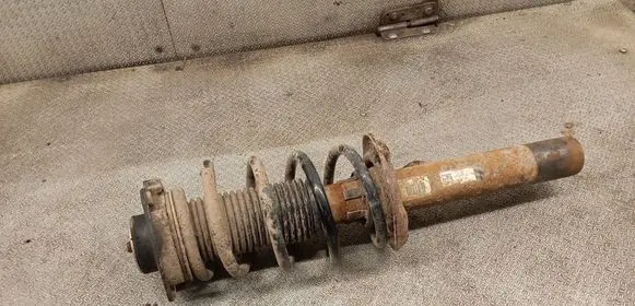 Skoda Yeti (5L) Front shock absorber with coil spring 