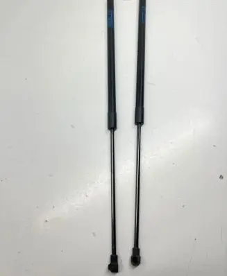 Tailgate strut