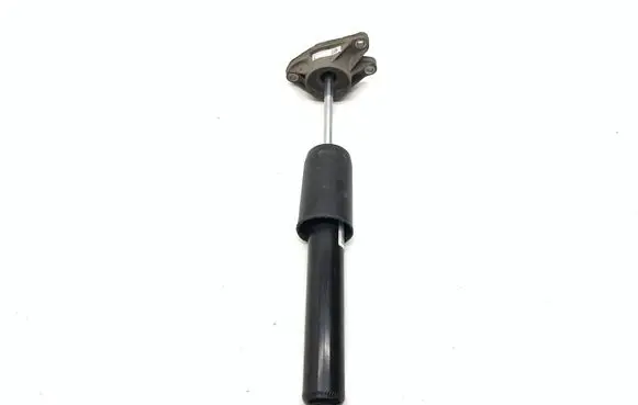 Rear shock absorber/damper