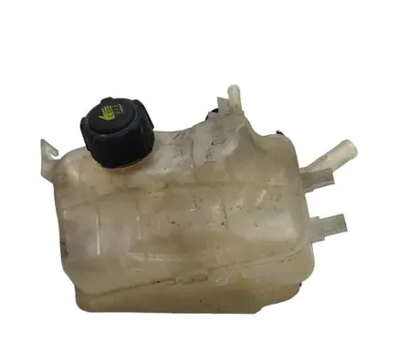 Renault Scenic III - Grand scenic III Coolant expansion tank/reservoir 217100005R