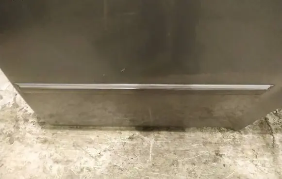 Dodge Magnum Rear door trim (molding) 