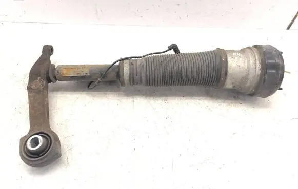 Mercedes-Benz S W220 Air suspension front shock absorber A2203270092 C086053