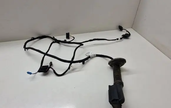 BMW 2 Active Tourer U06 Rear door wiring loom 5A41116 5A41115
