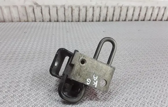 Volkswagen Polo IV 9N3 Rear door lower hinge