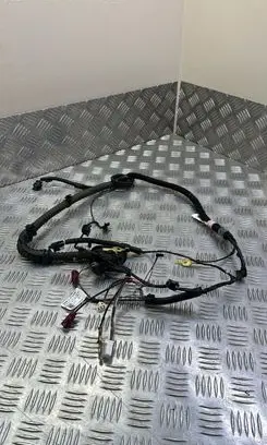Tesla Model 3 Other wiring loom 106878900F 109917600E 109163600D