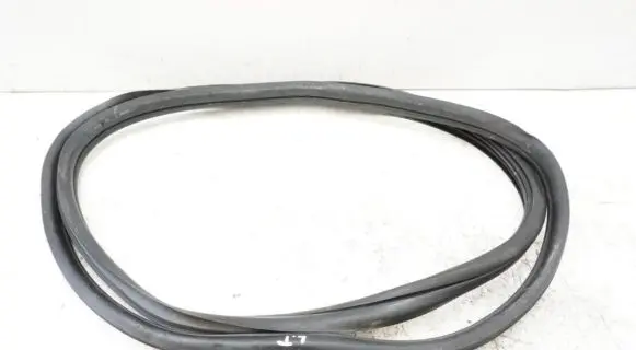 Citroen C4 Grand Picasso Rubber seal front coupe door 