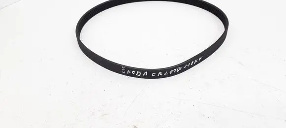 Skoda Octavia Mk2 (1Z) Alternator belt 