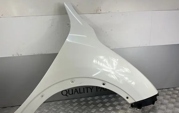 Nissan Juke I F15 Fender