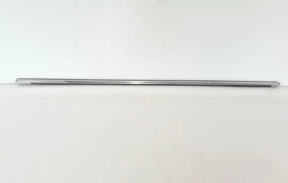 Renault Latitude (L70) Rear door trim (molding) 828210169R