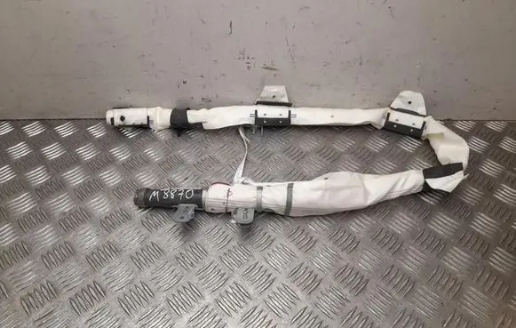 Tesla Model X Roof airbag 103675900E