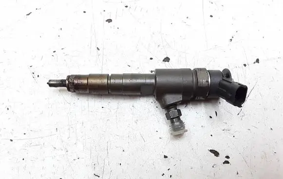Ford Transit - Tourneo Connect Fuel injector 0445110489 CV6Q9F593AA