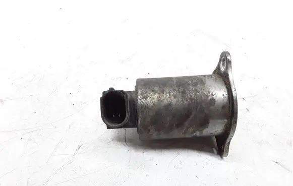 EGR valve