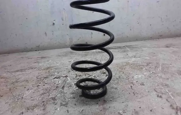 Front coil spring