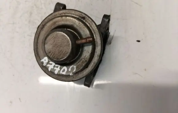 EGR valve