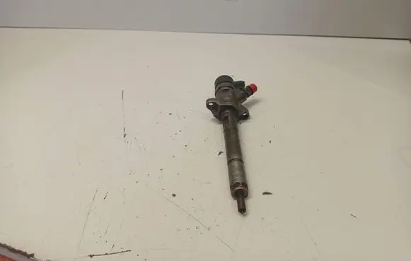 Citroen Berlingo Fuel injector 0445110239