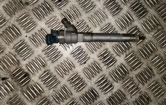 Renault Trafic III (X82) Fuel injector HMLGT1205R