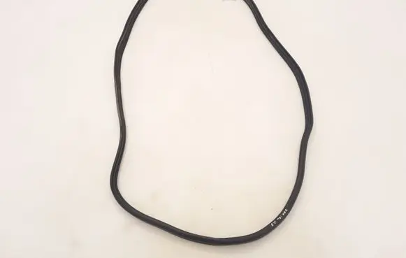 Renault Zoe Rear door rubber seal (on body) 769236661R