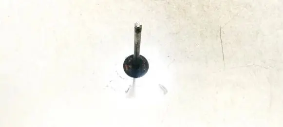 Volkswagen Tiguan Valve 