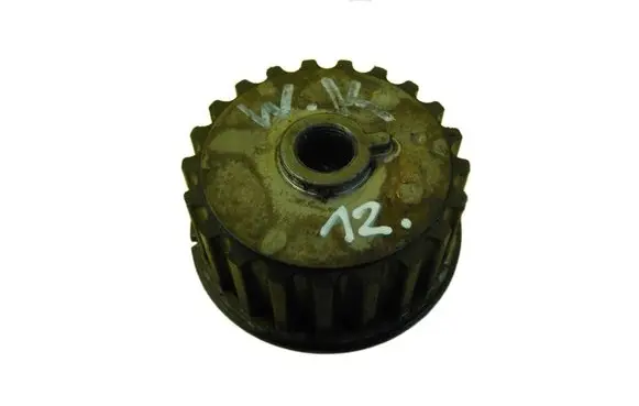 Dacia Sandero II Timing chain sprocket 102550A