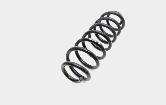 Volkswagen PASSAT B7 USA Rear coil spring