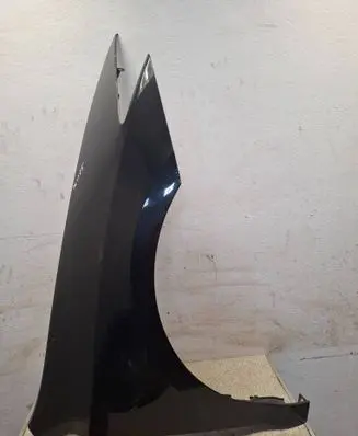 Renault Laguna III Fender 631010004R