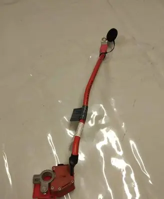 BMW X1 E84 Positive cable (battery) 10057310 921450602