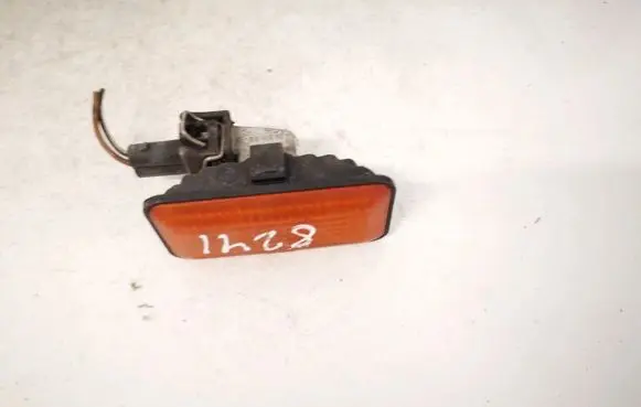 Front fender indicator light
