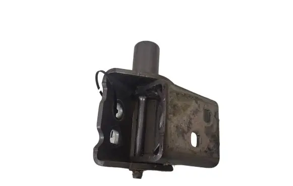 Renault Clio III Front door lower hinge 