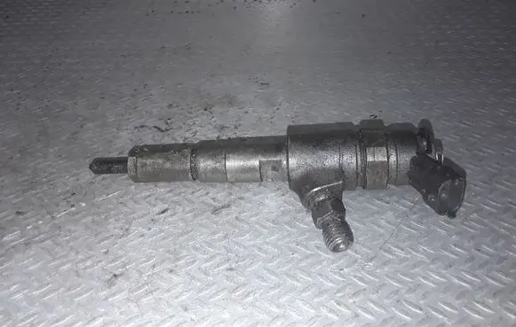 Peugeot 206 Fuel injector 0445110135