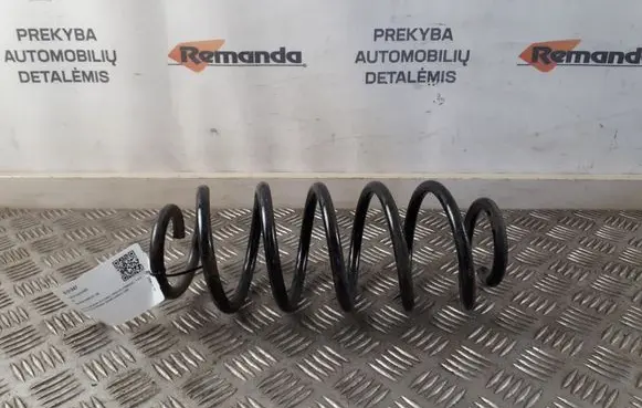 Rear coil spring