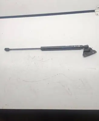 Dodge Journey Tailgate/trunk strut/damper 68101213AA