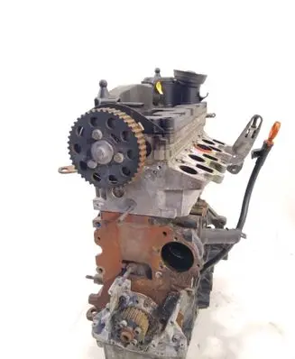 Volkswagen Golf VI Engine CAY