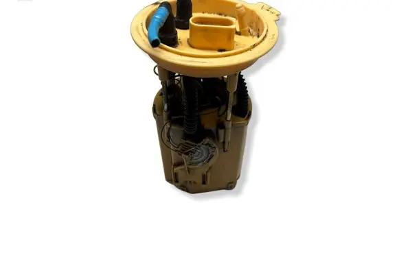 Volkswagen Golf Plus In-tank fuel pump 1K0919050G