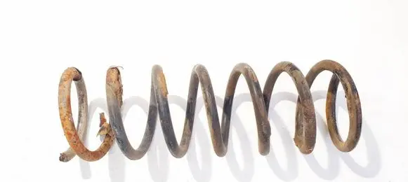 Rear coil spring