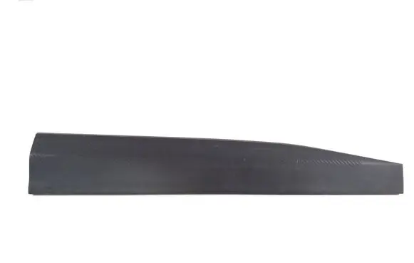 Front door trim (molding)