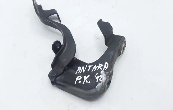 Opel Antara Engine bonnet/hood hinges NOCODE
