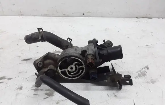 Thermostat/thermostat housing