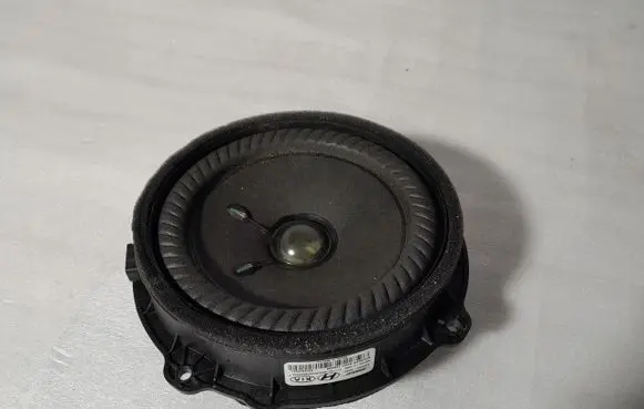 KIA Carnival Rear door speaker 96330