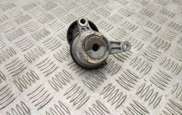 Skoda Octavia Mk4 Generator/alternator belt tensioner