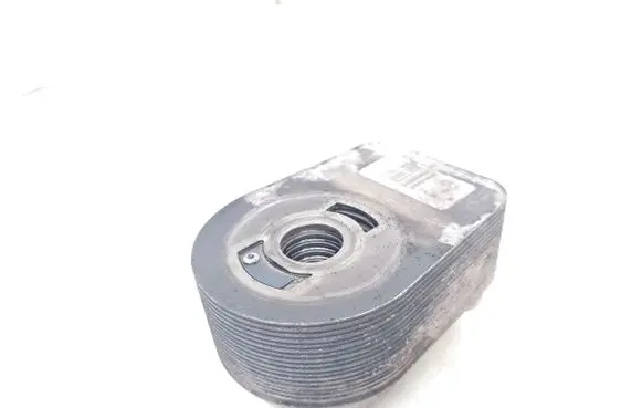 Renault Kangoo I Oil filter mounting bracket 779744