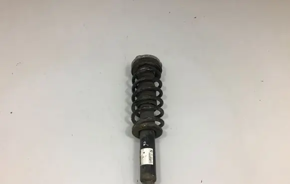 BMW X3 F25 Rear shock absorber/damper 6796317