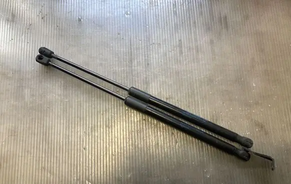 Tailgate/trunk strut/damper