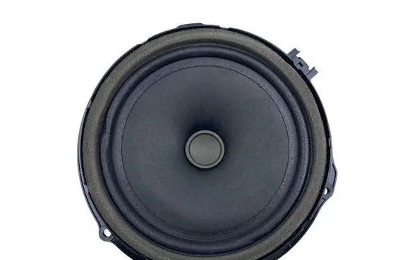 Jaguar E-Pace Front door speaker JJ3218808AA