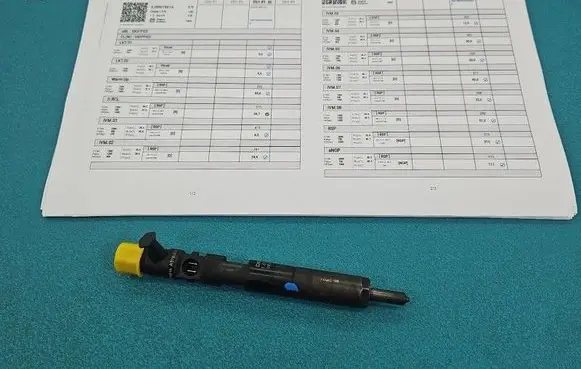 Renault Megane II Fuel injector EJBR01801A IMPRK1585584