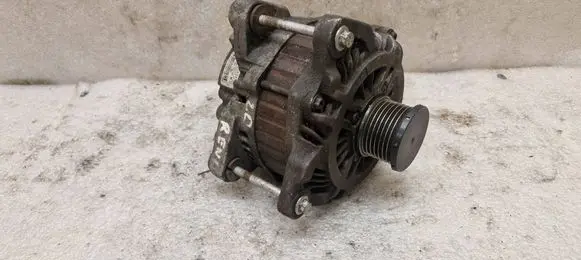 Generator/alternator