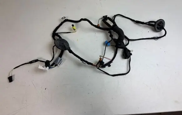 Audi Q5 SQ5 Front door wiring loom 80A971029E