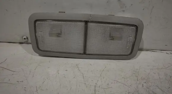 Rear seat light