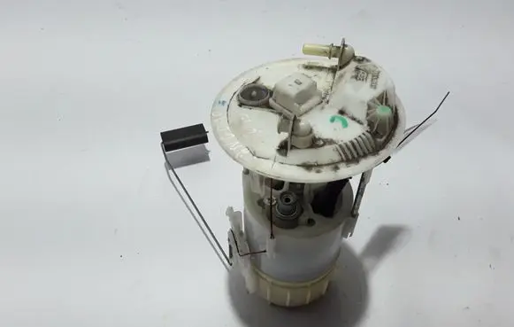 Renault Kangoo II In-tank fuel pump 172024329R