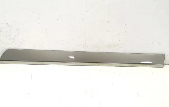 Rear door trim (molding)