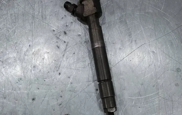 Mercedes-Benz S W220 Fuel injector 0445110096
